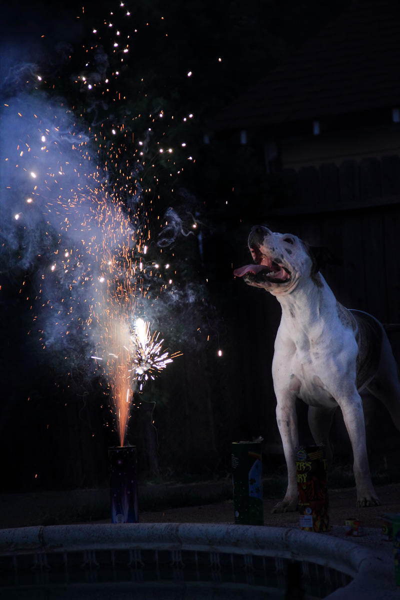 Illustration for article titled 111 Awesome Photos Of Fireworks